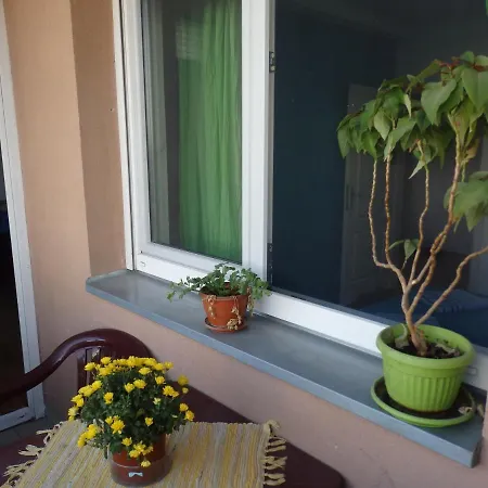 Apartment Erika 2 Novi Sad Exterior photo