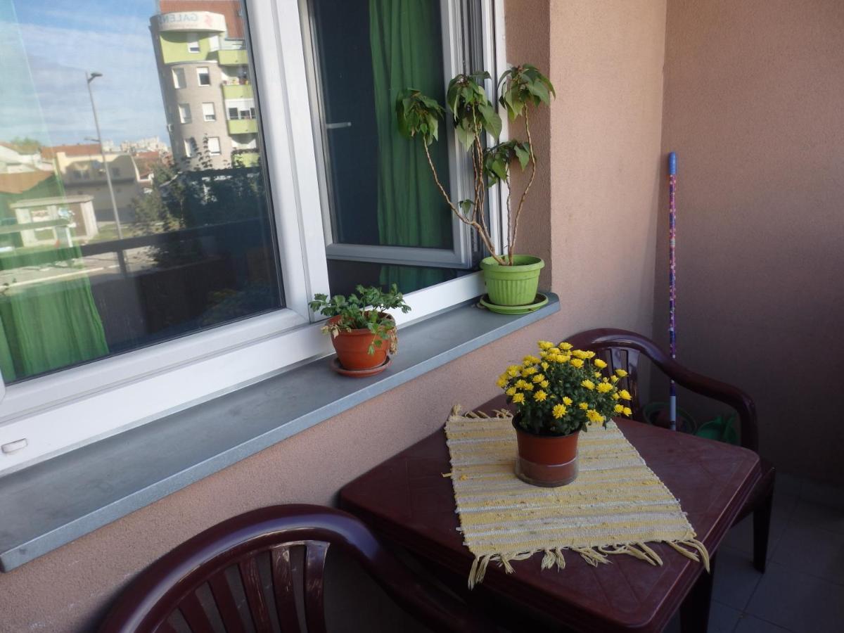 Erika 2 Apartment *